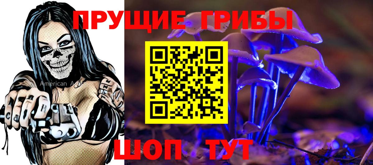 Галлюциногенные грибы Psilocybe  где купить   Первоуральск  Вход с VPN 